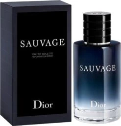 Dior Sauvage 60 Ml - Eau De Toilette - Herenparfum 6 Dior Sauvage 60 Ml - Eau De Toilette - Herenparfum -Hoogwaardige Cosmetica 1151x1200 1