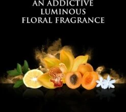 Beyonce Rise - 100ml - Eau De Parfum -Hoogwaardige Cosmetica 1200x1068