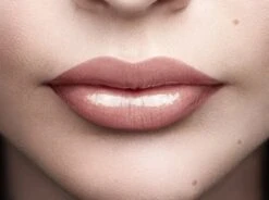 L'Oréal Paris Color Riche Shine Lippenstift - 658 Topless -Hoogwaardige Cosmetica 1200x895