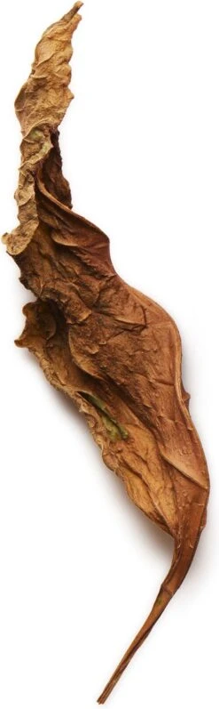 Giorgio Armani Acqua Di Gio Absolu 75ml - Eau De Parfum - Herenparfum 30 Giorgio Armani Acqua Di Gio Absolu 75ml - Eau De Parfum - Herenparfum -Hoogwaardige Cosmetica 372x1200