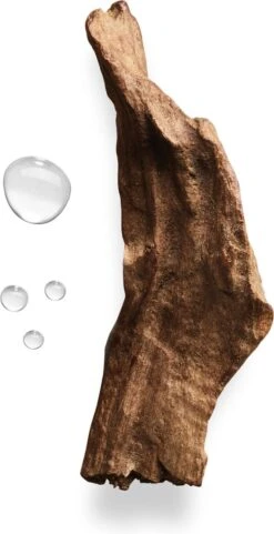 Giorgio Armani Acqua Di Gio Absolu 75ml - Eau De Parfum - Herenparfum 34 Giorgio Armani Acqua Di Gio Absolu 75ml - Eau De Parfum - Herenparfum -Hoogwaardige Cosmetica 616x1200