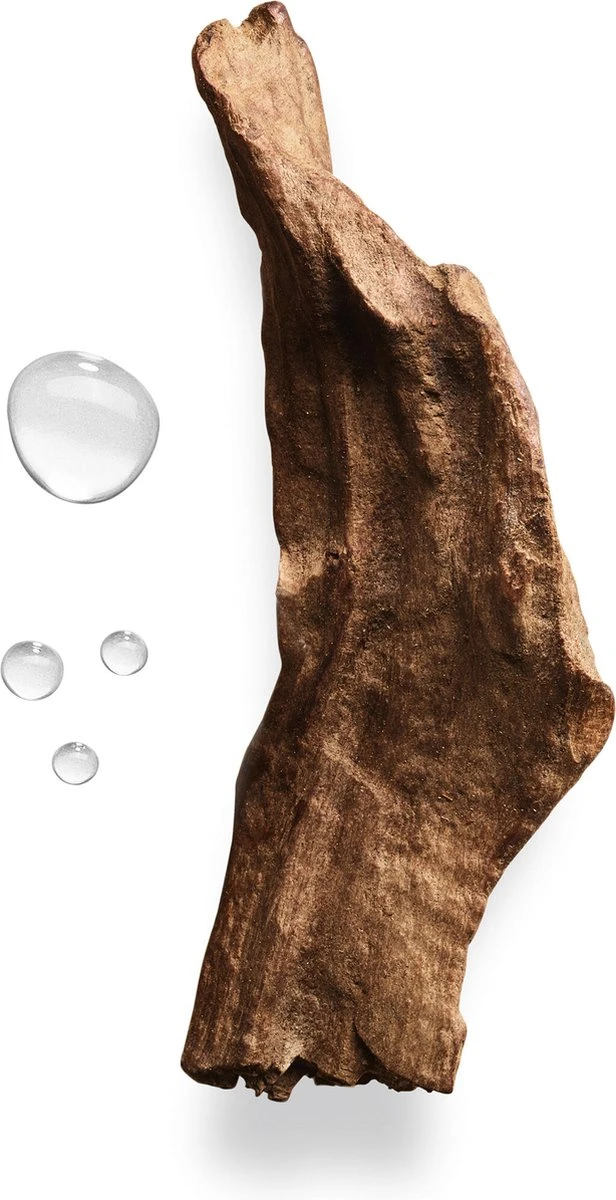 Giorgio Armani Acqua Di Gio Absolu 75ml - Eau De Parfum - Herenparfum 15 Giorgio Armani Acqua Di Gio Absolu 75ml - Eau De Parfum - Herenparfum - Afbeelding 15