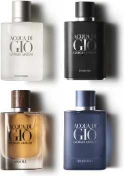 Giorgio Armani Acqua Di Gio Absolu 75ml - Eau De Parfum - Herenparfum 36 Giorgio Armani Acqua Di Gio Absolu 75ml - Eau De Parfum - Herenparfum -Hoogwaardige Cosmetica 844x1200